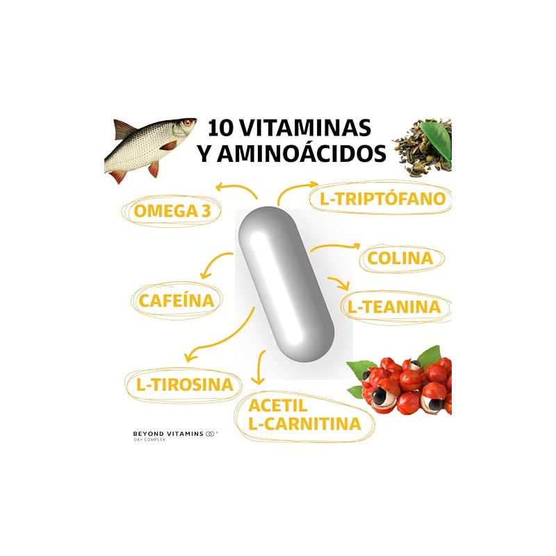 Nootropico Day Complex Vitaminas Minerales Aminoácidos Contiene Omega Triptófano Colina
