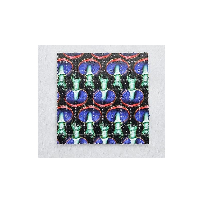 Shrooms Blotter Art Psychedelic Art Gift Acid Art 100 Tab
