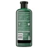 Herbal Essences Champú Sin Sulfatos De Flor De La Pasión