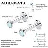 Adramata G23 Titanium Lip Piercing Labret Piercing Threadless Insertion Monroe