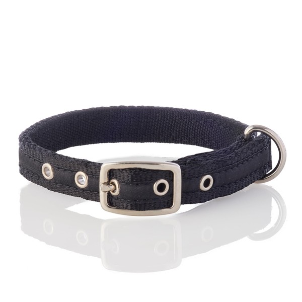 Pet Passion Adjustable Recycled Ribbon Dog Collar for All Pet