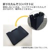 Kokuyo File Box, Tote Type, S2, Navy x Light Blue,