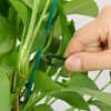 KAHEIGN 200 x Plant Clips, Plant Ties, Plant Clips, 2