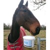Toxin Buster Non-Activated Hardwood Charcoal Digestive Supplement for Pets, Equines,