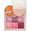  REVLON BLUSH ILLUMINATOR PALETTE (TM) WITH BRUSH SMOKY ROSE