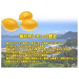 Morinaga & Co., Ltd. "Chuo-Shikoku Limited" Traveling High Chuu Setouchi Lemon Flavor, Pack of 5