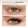 Heimish Dailism Smudge Stop Mascara Volume