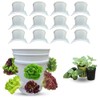 12pcs Hydroponic Vertical Gardening Kit – DIY Bucket Planter System
