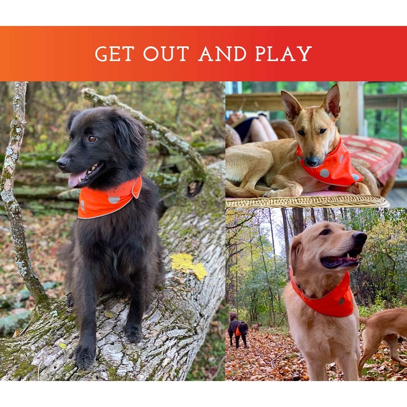 Spot the Dog Classic Orange Reflective Protective Bandana