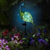 TEYIGARDEN Peacock Solar Garden Lights, Metal Stake with Glass Accents