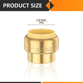 HeSun 20-Pack Pushfit Plug (End Cap), 1/2-Inch Push to Connect Plumbing Fittings with Disconnect Clip, Brass Push-fit Fittings for PEX, Copper, CPVC, PE-RT Pipes