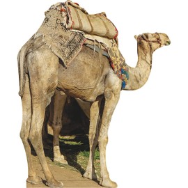 SP12890 Egypt Giza Camel Saddle Cardboard Cutout Standee Standup