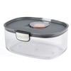 Progressive ProKeeper International Airtight Food Storage Container with Terracotta Disk