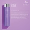 Alterna Caviar Multiplying Volume Conditioner 487ml