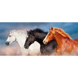 Ideen mit Herz 5D Diamond Painting | Horse Trio | 35 cm x 75 cm | Motif Canvas | Round Stones | Includes Tools