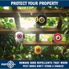 PESTEZE USA Bird Deterrent for Pool Predator Eye Balloon Repellent,