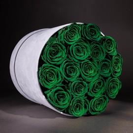 17 Flowers in a Luxury Suede Box, Birthday Gifts for Women, Preserved Flowers, Mothers Day Roses Gift for Mom, Dark Geen