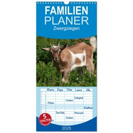 Familienplaner 2025 - Zwergziegen mit 5 Spalten (Wandkalender, 21 cm x 45 cm), CALVENDO
