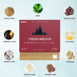 New Freshbrush Remineralizing Gum, Remineralizing Chewing Gum, Organic Mastic Mint Miracle Under Brush Remineralizing Chewing Gum, All Natural Freshen Breath Remineralizing Gum, for Whiten Teeth Health(2Box-red)