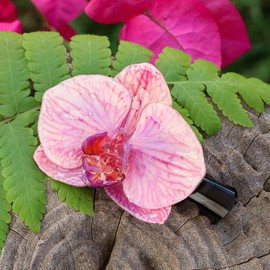 NOVICA No Stone Stainless Steel Resin 'Primaveral Fantasy'