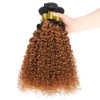 1B30 Kinky Curly Bundles Ombre Brown Human Hair Bundle Brazilian