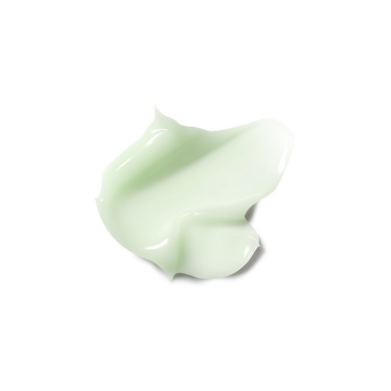 The Saem Derma Plan Green Calming Cream / 더샘 더마
