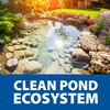The Pond Guy Seasonal Defense, Spring & Fall Beneficial Bacteria,