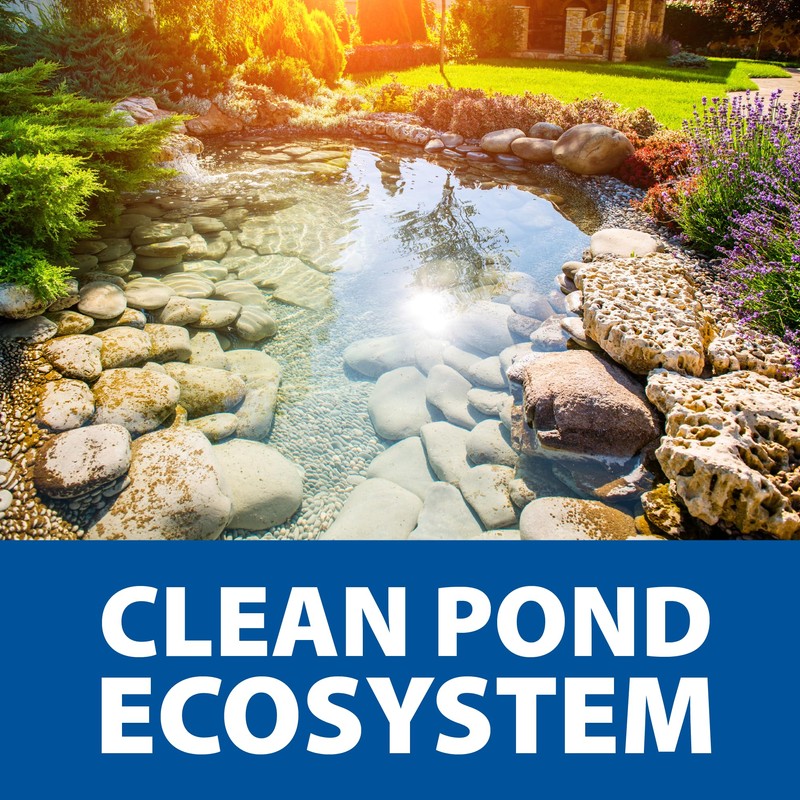 The Pond Guy Seasonal Defense, Spring & Fall Beneficial Bacteria,
