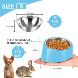 Petvillage Dog Bowl,15° Tilted Dog Bowl Non-Slip & Non-Spill Pet Feeder with Elevated Detachable Melamine Stand, Easy to Get Food Dog Dish, S/0.5 Cup Sky Blue