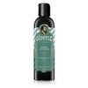 Mr. Gentle Shampoo Anti Caspa 400Ml