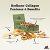 Redbarn Collagen Spring - Medium