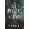 The Light Between the Cedars