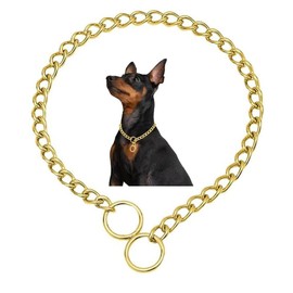 Dog Chain Collars,Heavy Chain Dog Metal Training Collars, Adjustable Metal Necklace Martingale Puppy Collars for XXS XS Small Medium Large Big XL Breed Dogs, Silver S