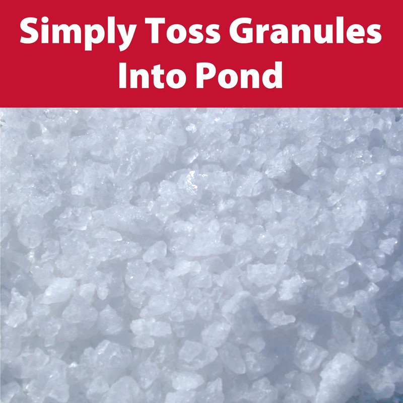 The Pond Guy Pond Salt - 10 Pounds