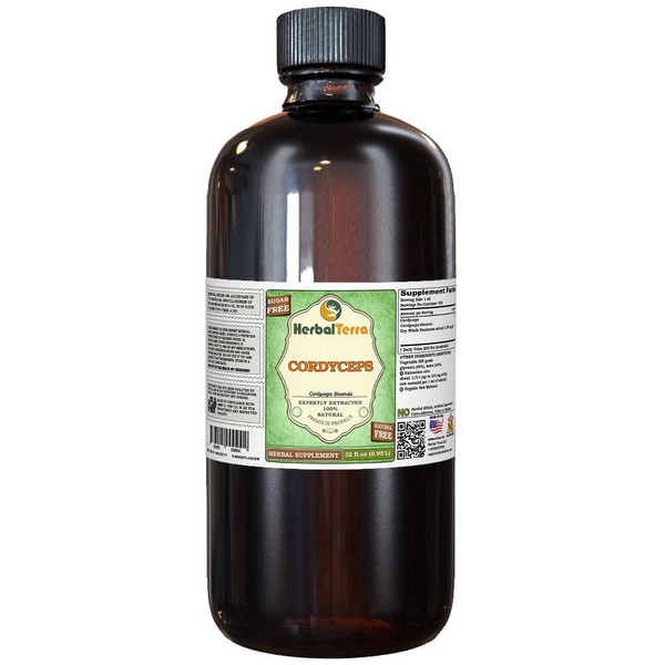 Cordyceps (Cordyceps Sinensis) Glycerite, Organic Dried Mushroom Powder Alcohol-Free Liquid Extract (Brand Name: HerbalTerra, Proudly Made in USA) 32 fl.oz (0.95 l)