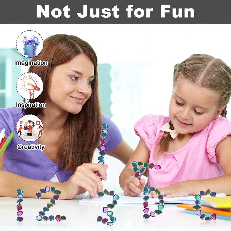 YISHIDANY 24pcs Black Large Fridge Magnets Stones Science Kit, Irregular