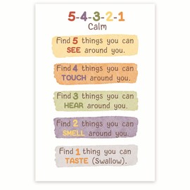Bliss Monkey Co. 5-4-3-2-1 Calm Ground Technique Poster - Mindfulness Tools - Emotional Regulation - Coping Strategies - 12 x 18 Inch Unframed Glossy Paper Poster - Made In USA