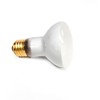 100W Lava Lamp Light Bulb 100 watt 125 Volt R