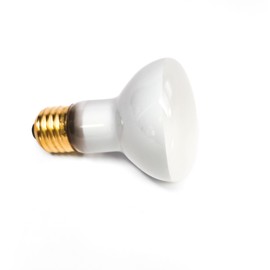 100W Lava Lamp Light Bulb 100 watt 125 Volt R Type R20 Medium Base Grande & More