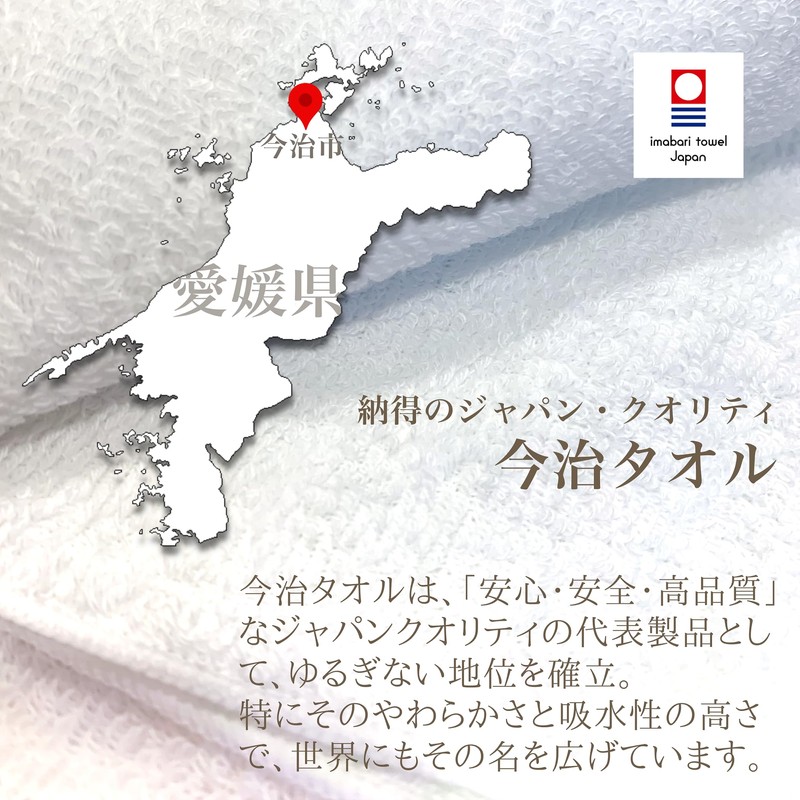 TOWEL COMPANY Imabari Towel, Handkerchief, 8.7 x 8.7 inches (22