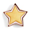 MAKEUP REVOLUTION Star of the Show Highlighter Gold Star