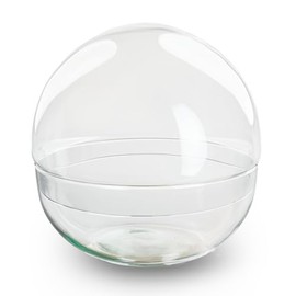 urbanjngl. com - Ball Glass - Glass Bell - Closed Terrarium ↑ 28 cm