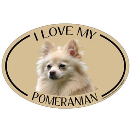 Imagine This Oval Magnet, I Love My Pomeranian