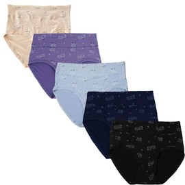 Women's Plus Size Panties Floral Print Ladies Panties High-Waist Brief Panties 5 Pack XL-5XL (US, Alpha, X-Large, Regular, Regular, 5 pack floral panties 4XL)