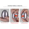 Ranvi Kitchen Timer, Egg-Shaped Stainless Steel Mechanical Rotating Timer, 60