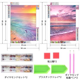 Samcos Diamond Art Kit Diamond Painting Set of 2 Clean All Over Diamond Art Painting DIY Beginner Adult Children Craft Kit Art Home Wall Decor