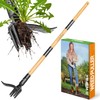 Weed Puller Tool, Stand Up Heavy Duty Weed Remover Tool