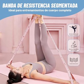 LISAPRO - 2PCS Bandas de Resistencia para Ejercicios, Ligas de Resistencia, con 12 Bucles Numerados, Bandas Elásticas de Entrenamiento, con Calcetines