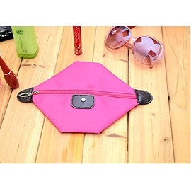 Diversity Land Travel Small Cosmetic Bag Cosmetic Case Makeup Bag Toiletry Organizer (Black)