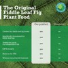 Fiddle Leaf Fig Plant Food Fiddle Leaf Fig Tree Plant